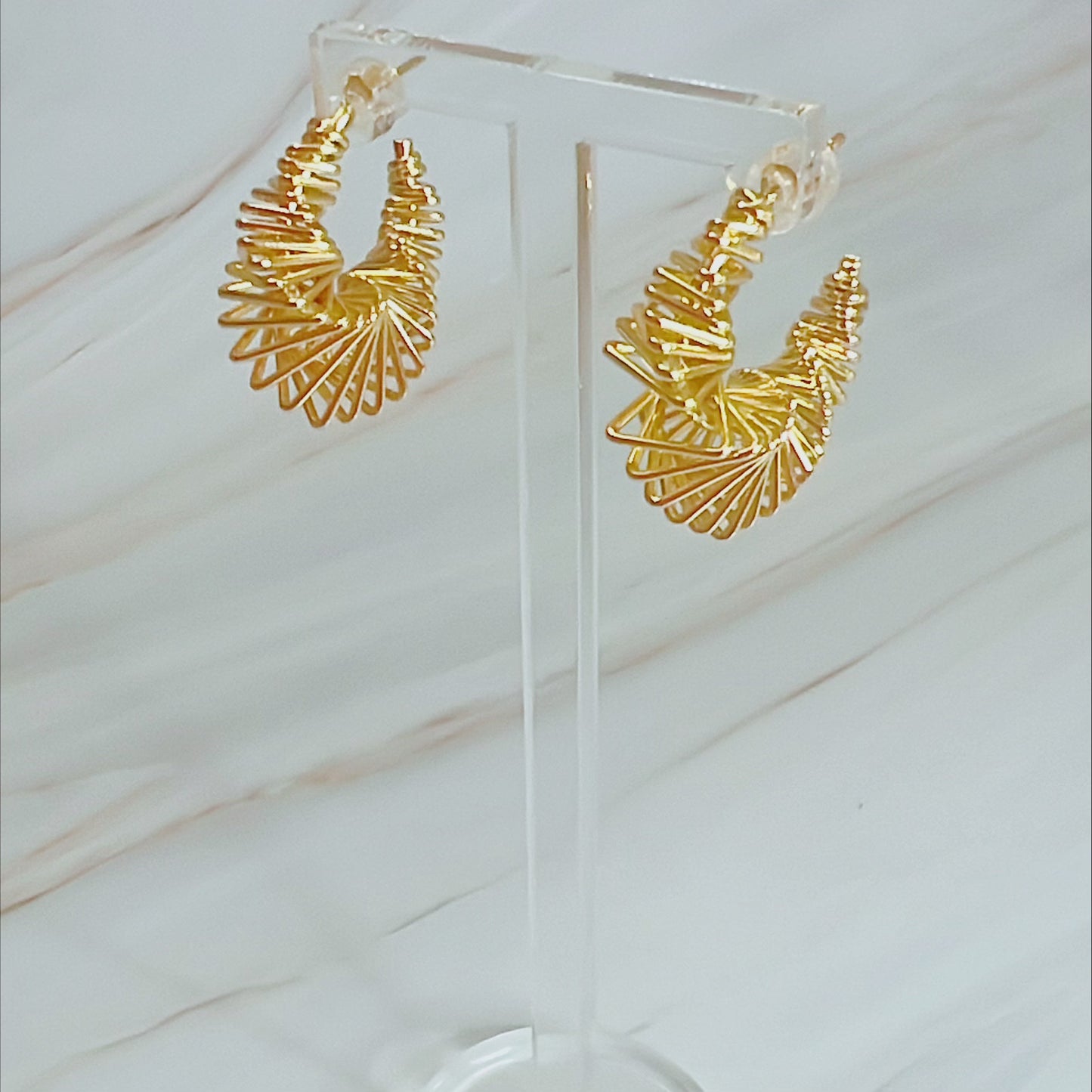 Gold Hoops Earring